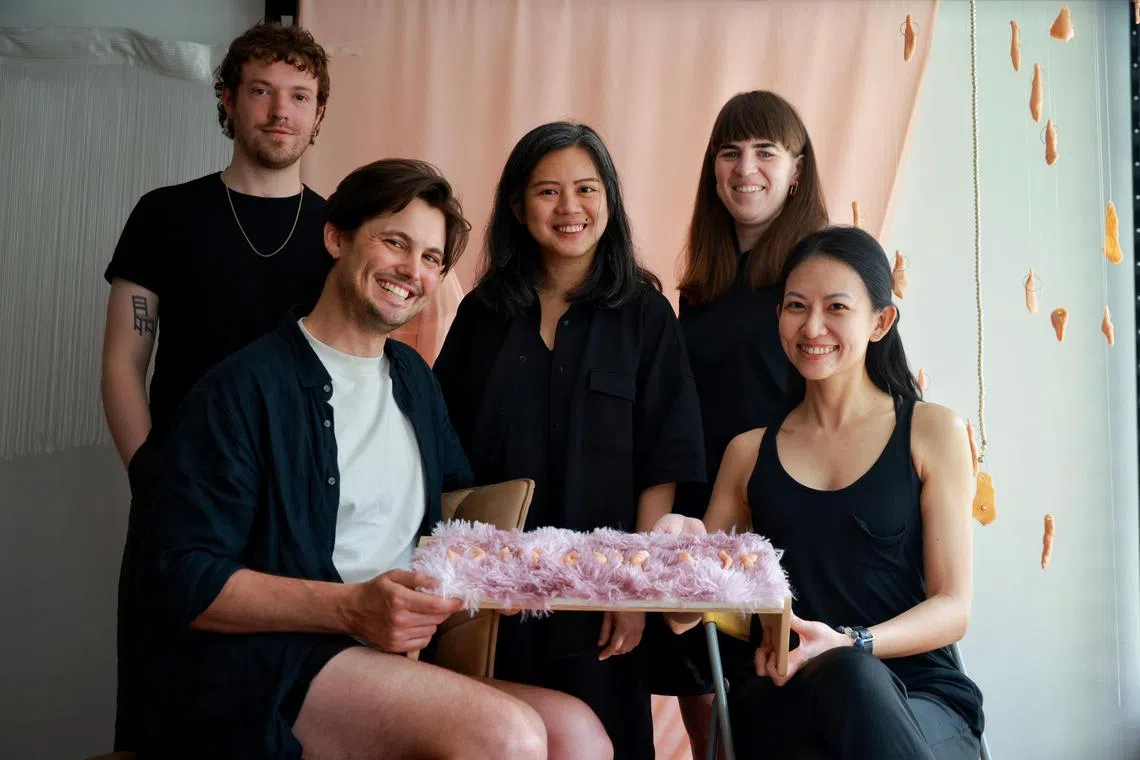 Left to right: Glynn Urquhart; Xavier O'Shannessy; Myra Loke; Davina Wright; Ellison Tan Yuyang have partnered to write and produce My House is a Wild World