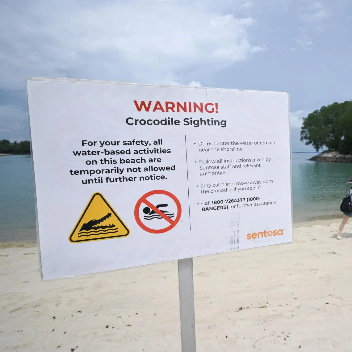 A search is under way for a crocodile spotted in the waters off Sentosa Cove on the evening of May 6. 