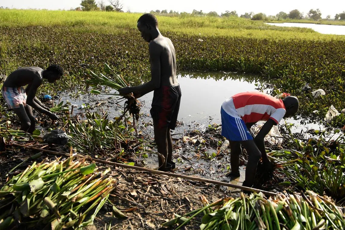 African  nations like South Sudan face the greatest health consequences of climate change, the WHO has warned.