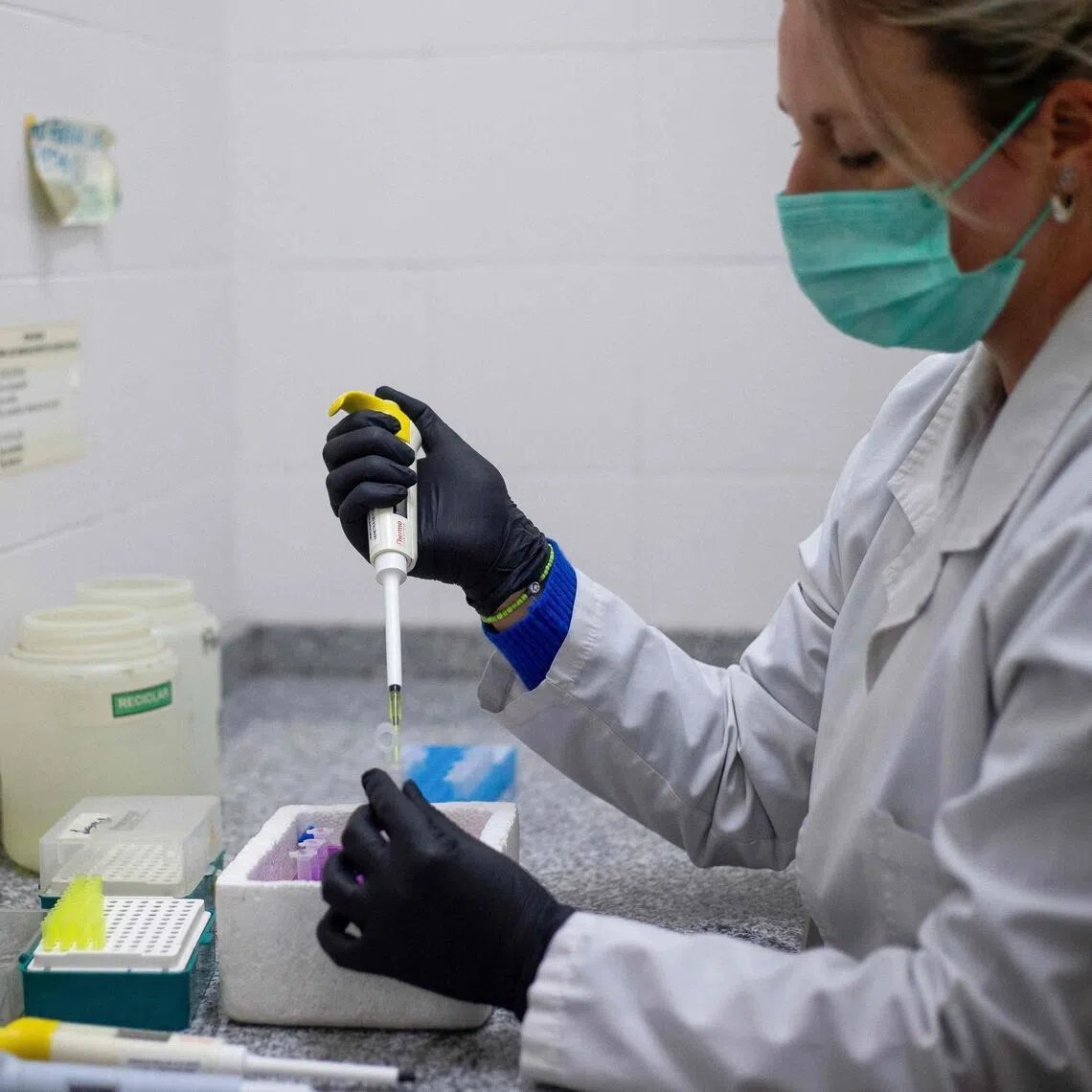 Researchers at Switzerland’s Spiez Laboratory say a deadly strain of the hantavirus can survive in the body’s “biological safe harbours” like the testes.
