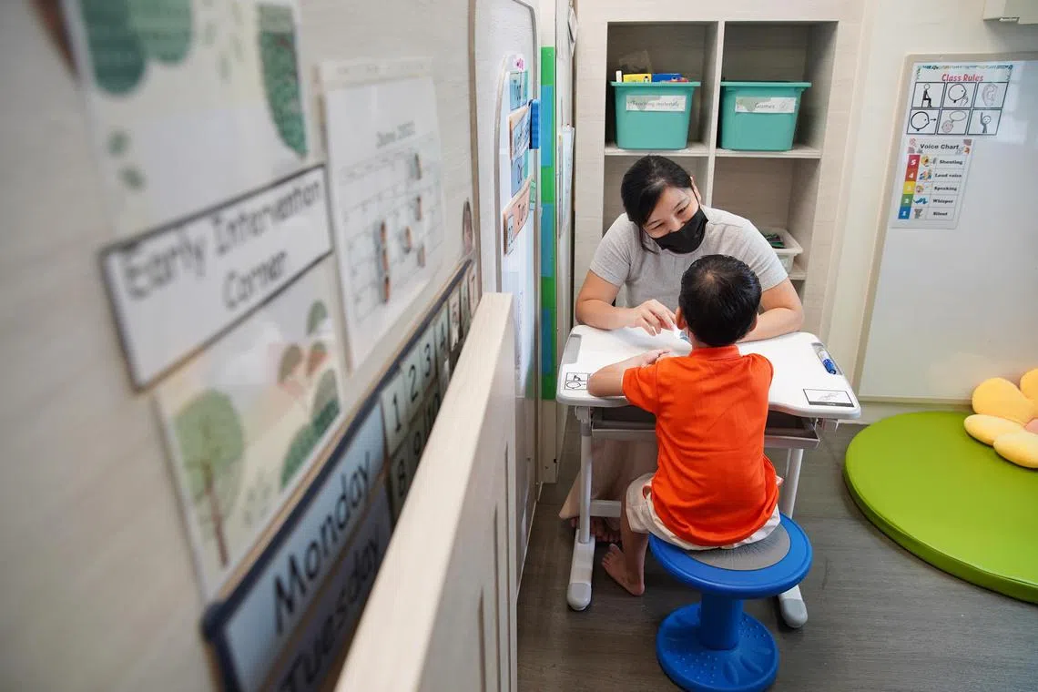 The roles of Therapist (Degree) and Therapist (Diploma) were merged to become a single Therapist role.