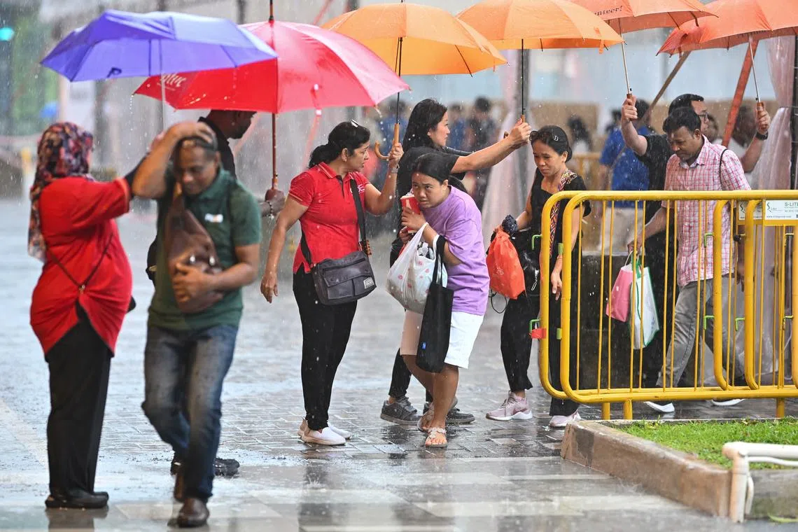 Rainfall for the second fortnight of January is forecast to be below average across most parts of the island.