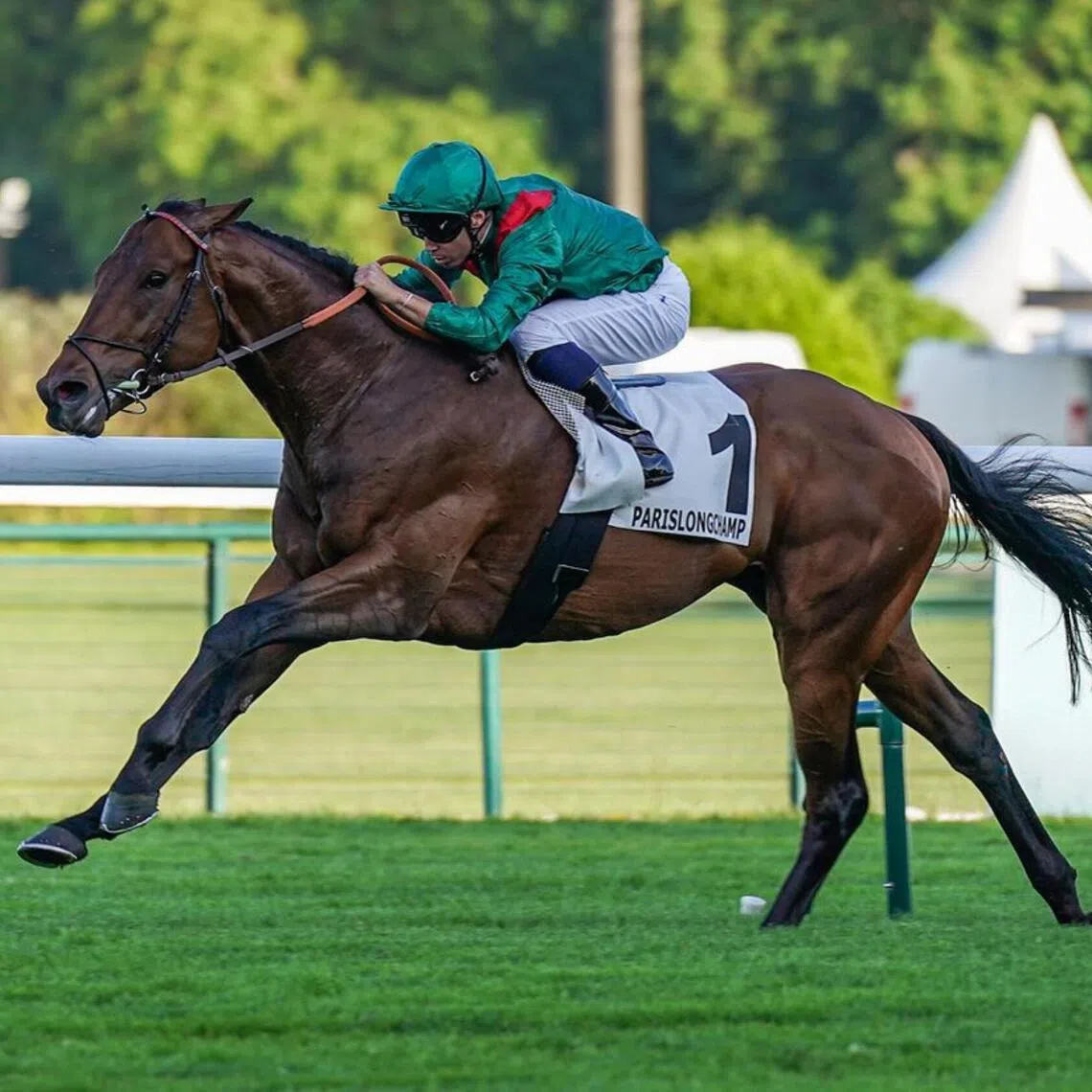The Francis-Henri Graffard-trained Daryz (Mickael Barzalona) winning the Group 1 Prix Aga Khan IV (1,850m) unopposed at ParisLongchamp on May 21.

