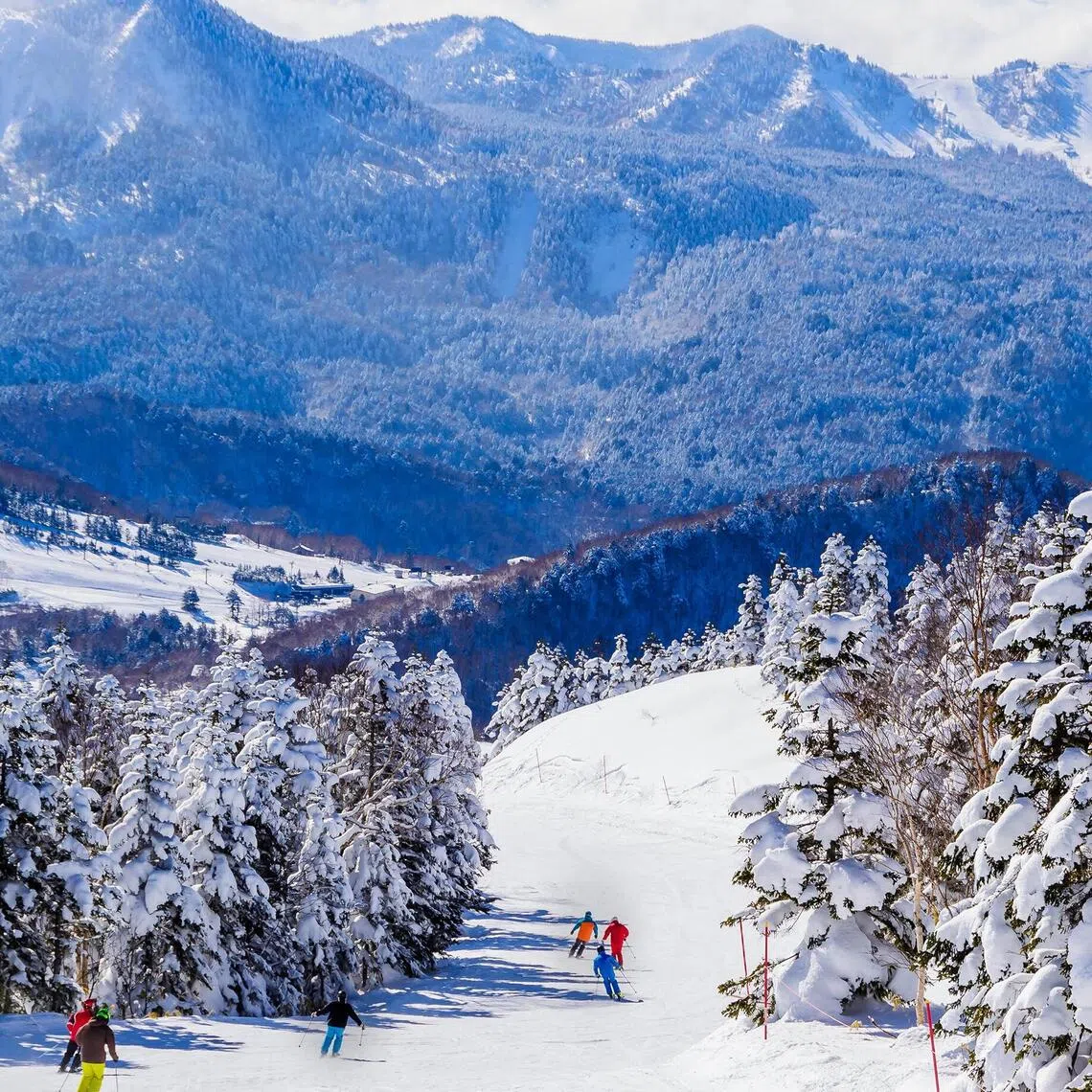 The expo will offer travel deals to winter destinations like Japan, China and South Korea.