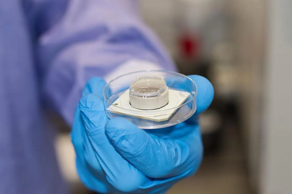 ocdish19 - Sample of Cortical Labs’ cell-powered chip, which reads electrical signals emitted from cells in a petri dish at the centre.

Credit for all: Cortical Labs