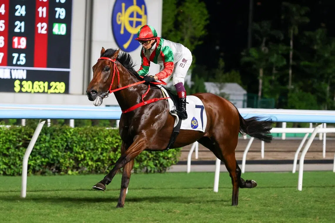 Solid State - Solid State (Alexis Badel) scoring an impressive debut win in a Class 3 (1,200m), the Philip Chen Trophy at Sha Tin on July 4. The Frankie Lor-trained Snitzel four-year-old will be all the rage for a second win in the Wah Fu Handicap (1,000m) at Sha Tin on Sept 13.

PHOTO:  HKJC