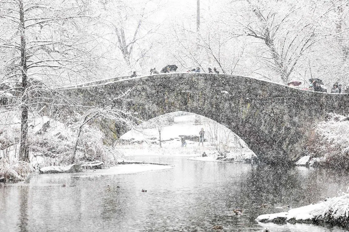 People walking through the falling snow in Central Park in New York City on Feb 13, 2024. 