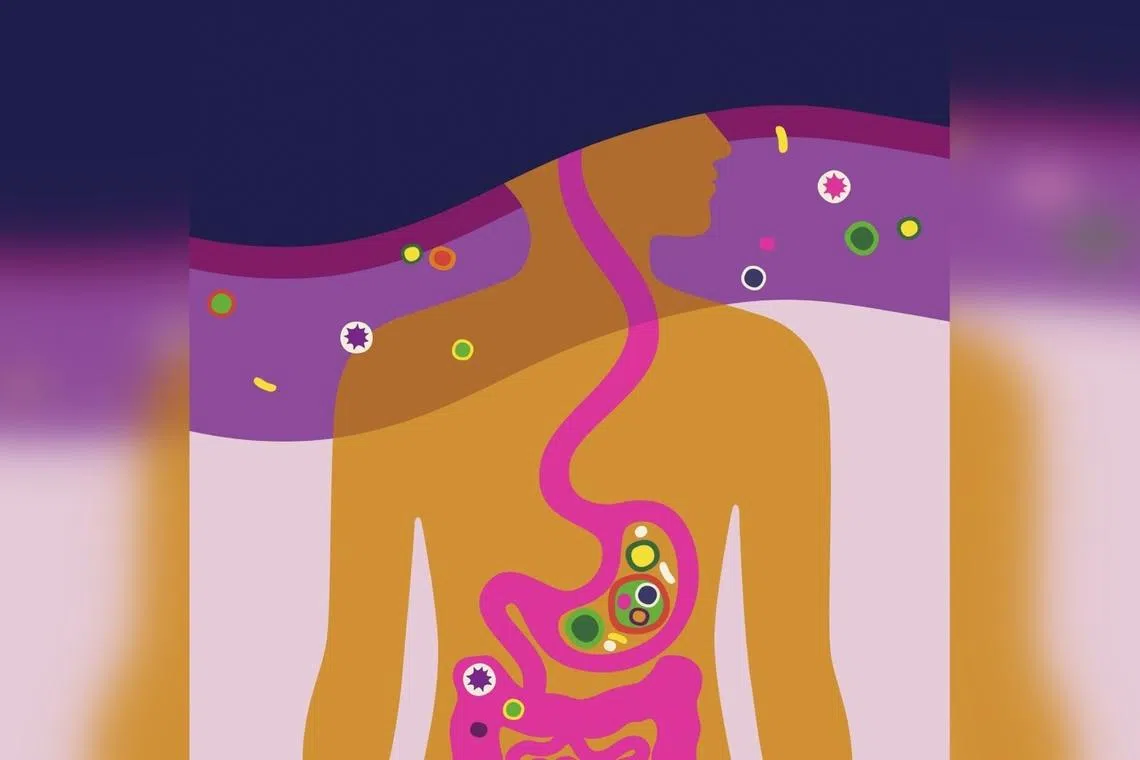 Scientists keep learning more about the connection between the brain and the gastrointestinal system. 