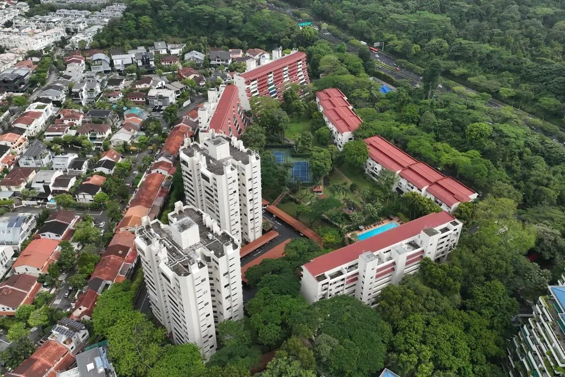 In December 2019, the couple bought a Hillcrest Arcadia condominium unit in Bukit Timah and registered their ownership in the ratio of 99:1