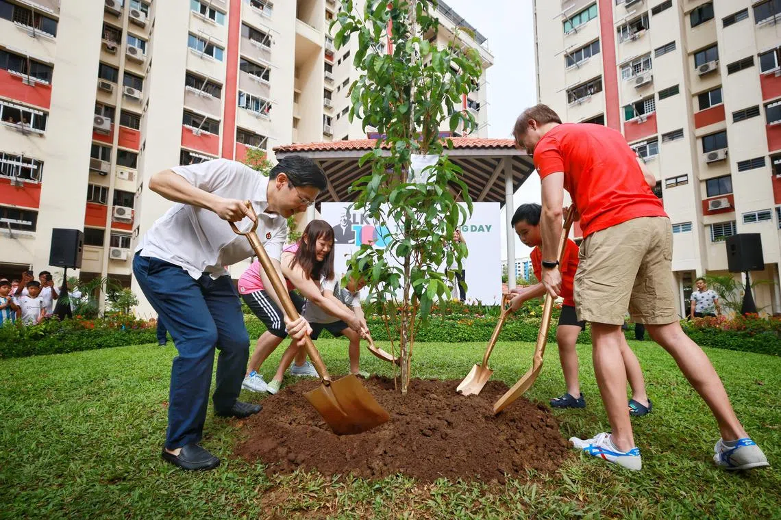 ST20230507_202389158869/gstree07/Gena Soh/Jason Quah

DPM Lawrence Wong planting a tree with Mr Damien Teo, 42, his wife Ms Tricia Teo, 42 and children Dylan, eight, and Julien, six, on May 7, 2023. LKY100 Tree Planting Day kicks off the PAP’s commemoration of the birth centenary of the party’s founding Secretary-General Lee Kuan Yew.