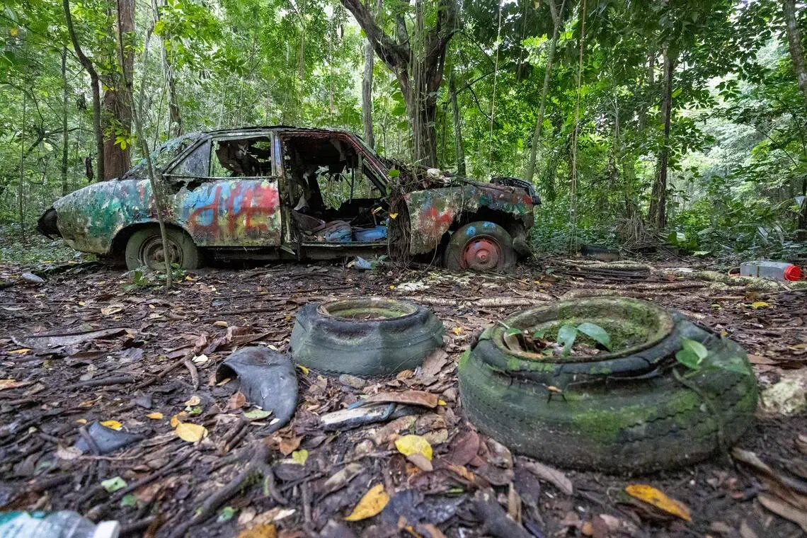 Who drove into the forest? How 4 abandoned cars ended up near this Singapore cemetery
