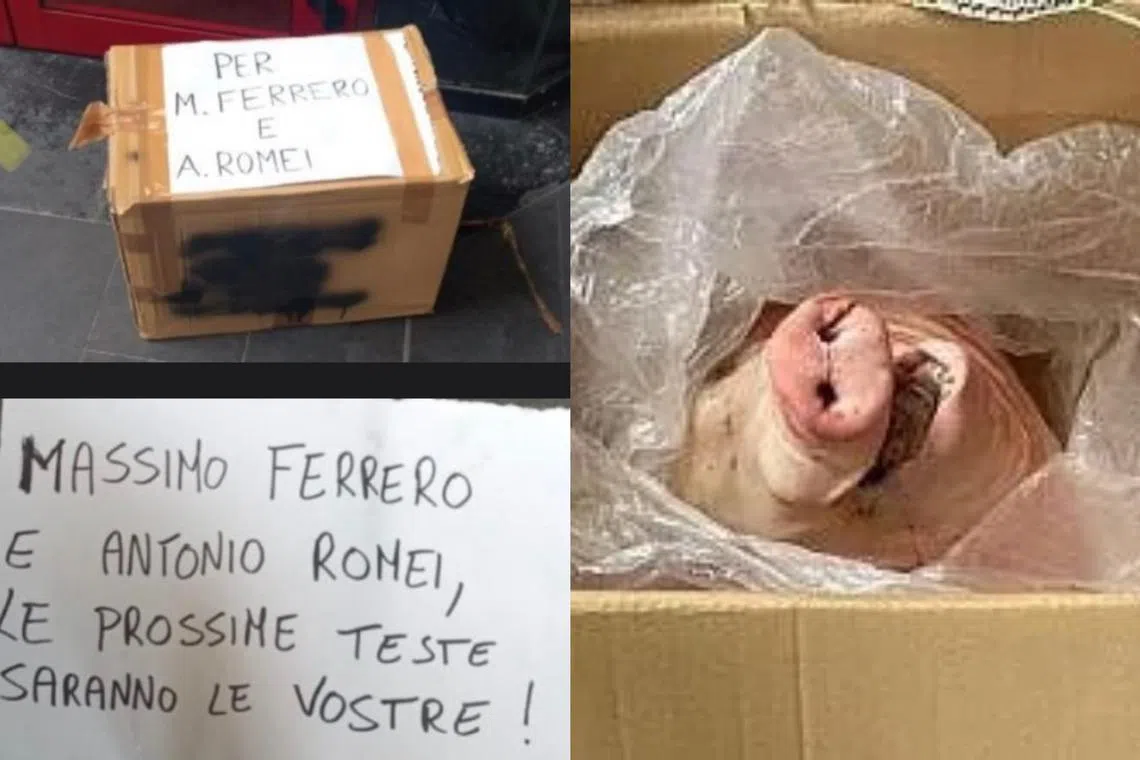 The “Godfather”-style gift featured a message addressed to former club president Massimo Ferrero and current vice-president Antonio Romei reading “the next heads will be yours”.