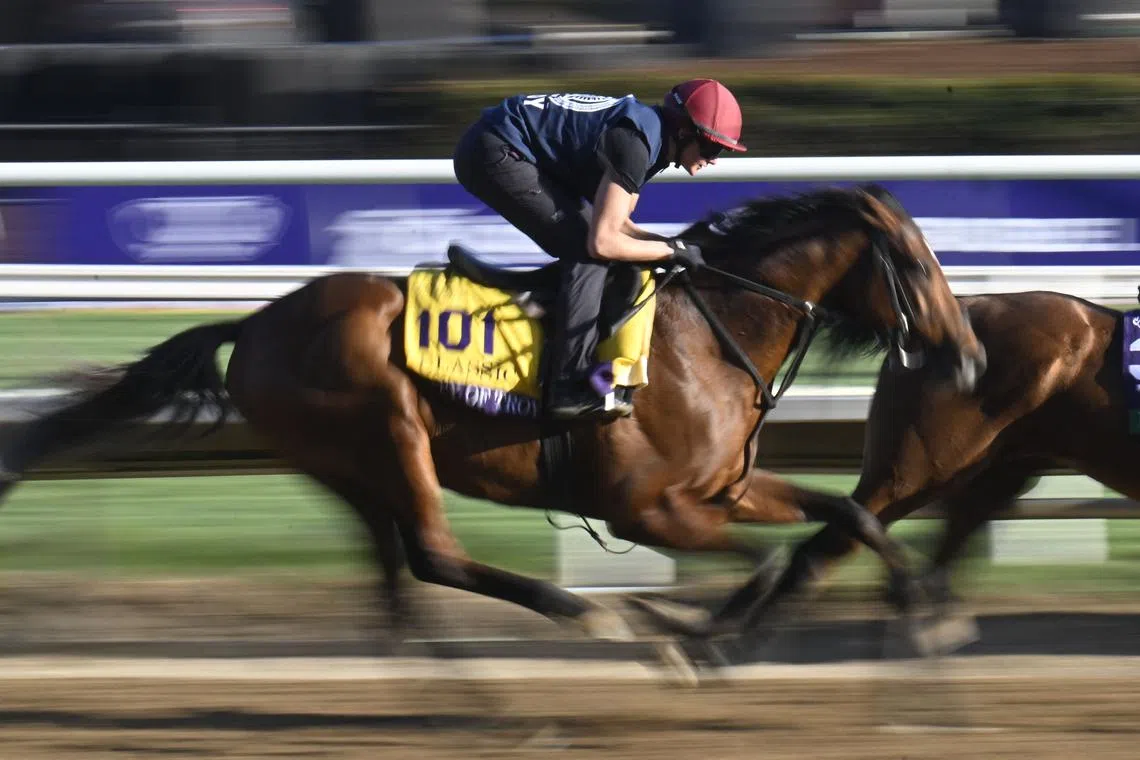 Horse racing-O'Brien looks to City of Troy to end Breeders' Cup drought ...