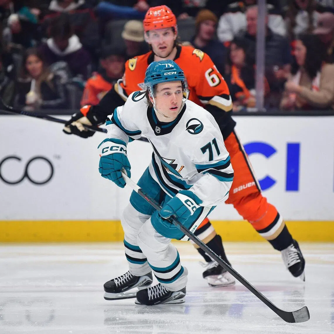 San Jose Sharks centre Macklin Celebrini (No. 71) in action during the 5-4 NHL win over the Anaheim Ducks on Dec 29, 2025, at the Honda Center.