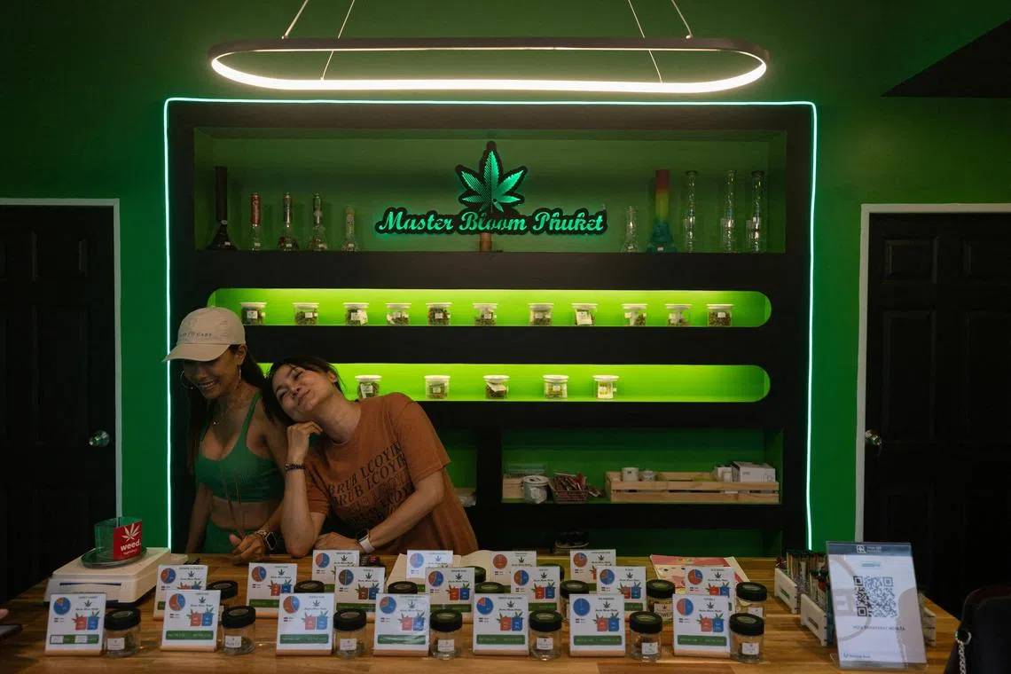 The proposed policy reversal is another blow for Thailand’s nascent cannabis industry after decriminalization was pitched as a way to boost agricultural income and the country’s wellness tourism industry. 