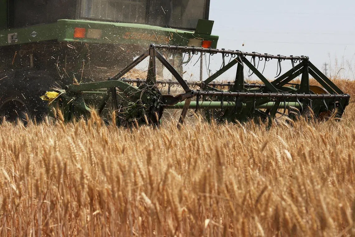 China warns of crop risks as heat sweeps agricultural regions