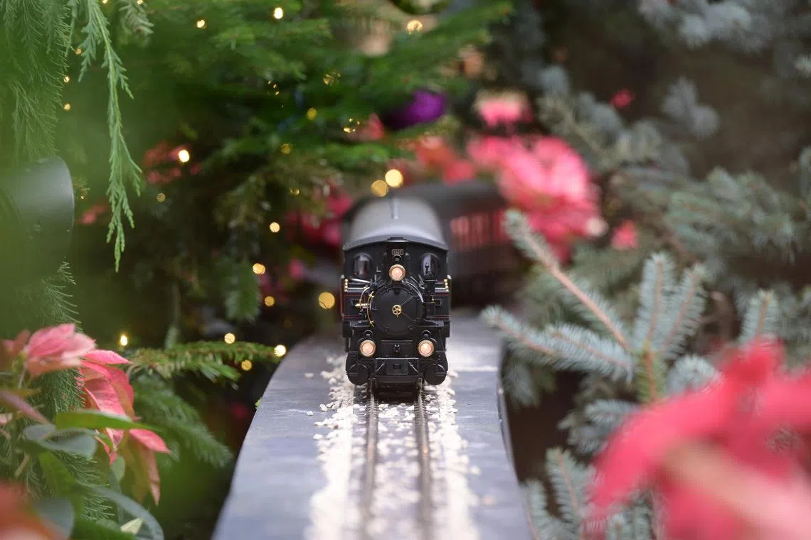 fkxmas02/ST20241202_202401200550/Ng Sor Luan/A miniature train at the Gardens by the Bay Christmas Train Show.