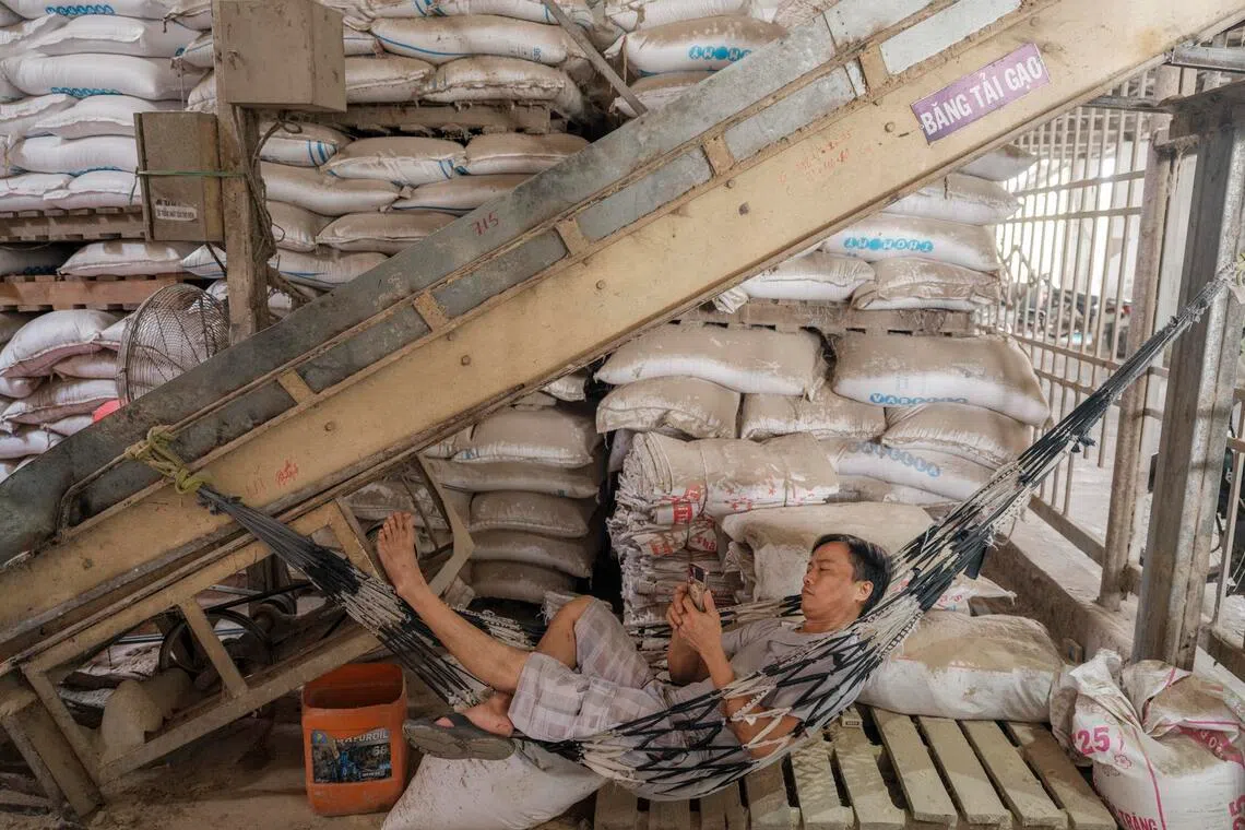 Some Thai famrers have suspended rice cultivation because their profits simply are not enough to cover the ballooning costs.
