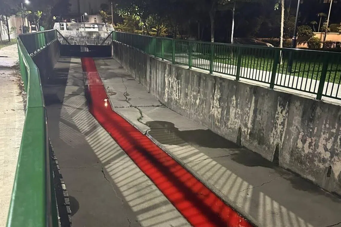 An eyewitness was walking home on Oct 13 when he saw the red discharge flowing through the canal, close to Kembangan MRT station.