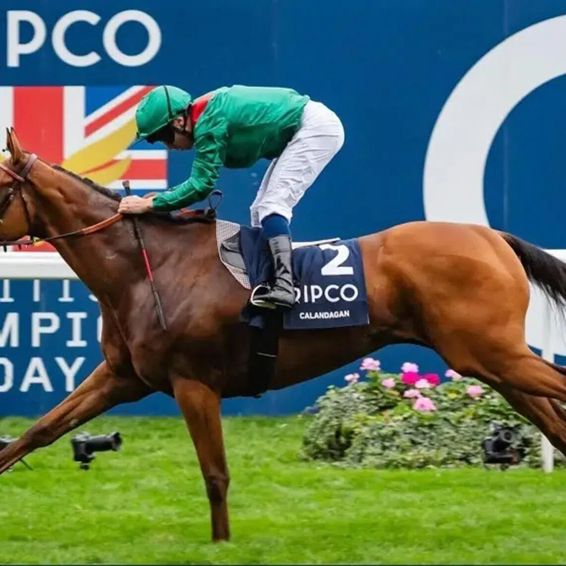 Calandagan franking the rich vein of form of the Aga Khan-Francis-Henri Graffard combination with another stellar win in the Group 1 Champion Stakes (2,000m) at Ascot on Oct 18.