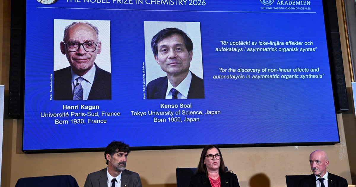 Kagan and Soai win 2026 Nobel chemistry prize