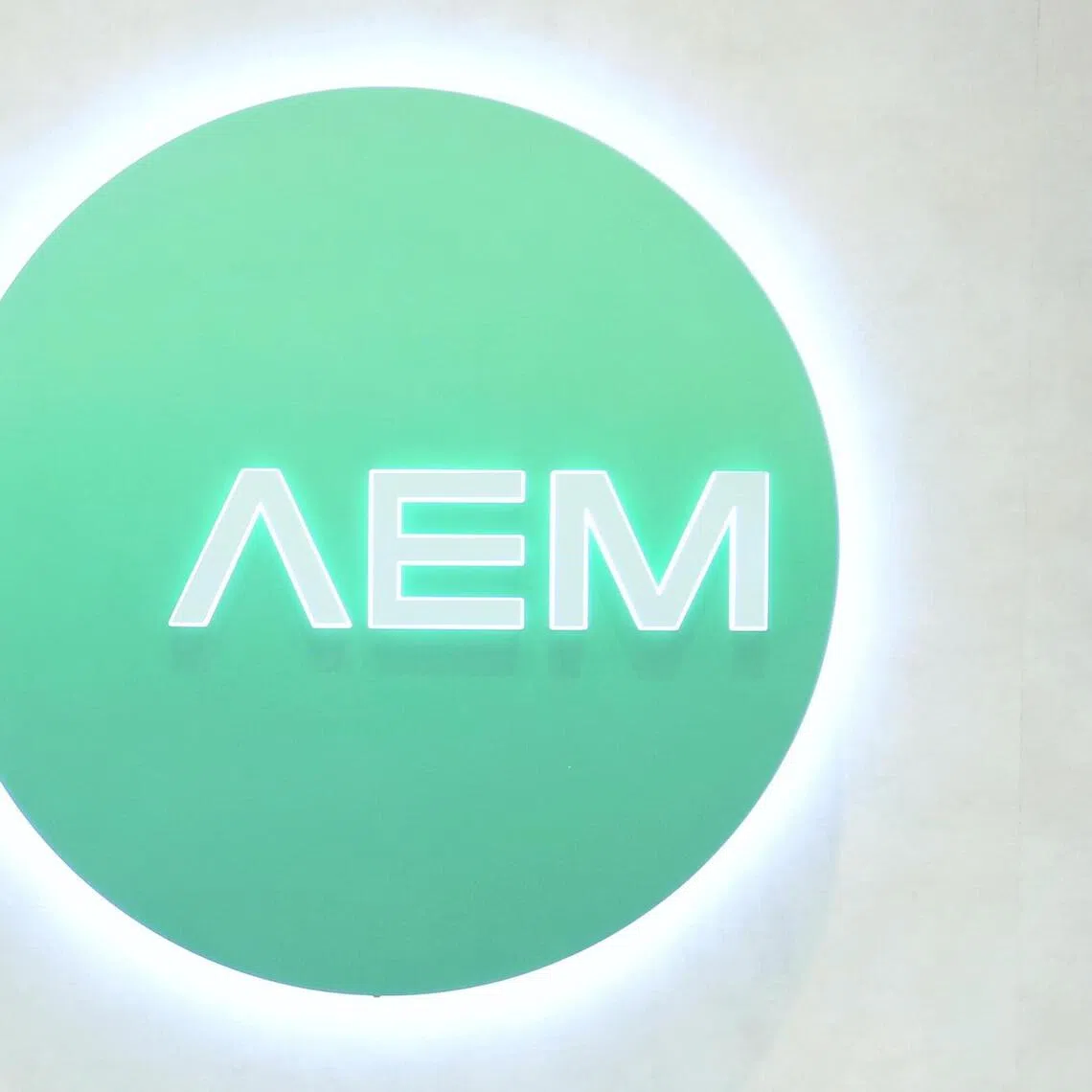 AEM said the patents relate to a specific wafer level test system that it does not practice.