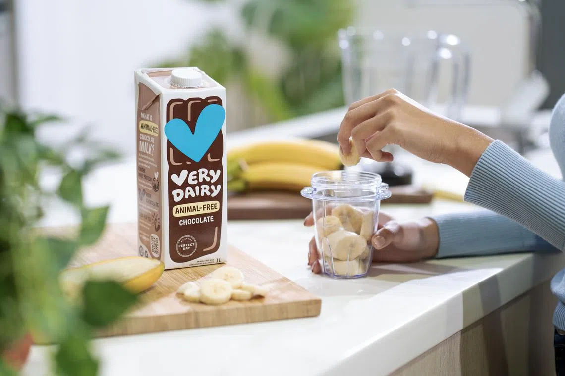 Perfect Day’s Very Dairy is the first precision fermentation milk available in Asian supermarkets. The milk is made from microflora.