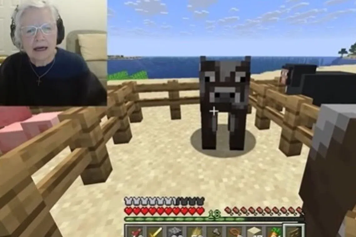 Ms Sue Jacquot's YouTube channel, GrammaCrackers, is named after Graham Crackers, her favourite snack.