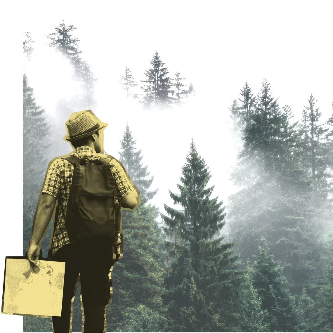 A simple check such as visiting the site of the overseas home would show that the deal was a scam as the address led to a forest.  