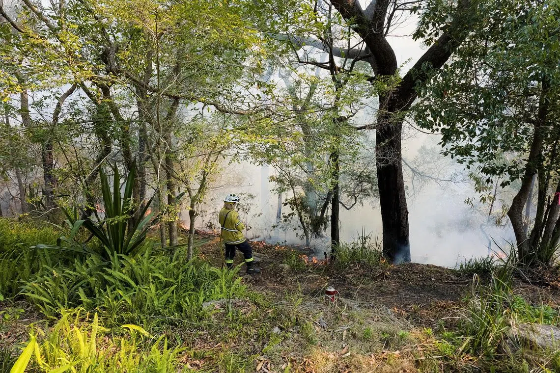New South Wales Rural Fire Service firefighter Elisabeth Goh monitors a hazard reduction burn in Sydney, Australia, Sept 10.