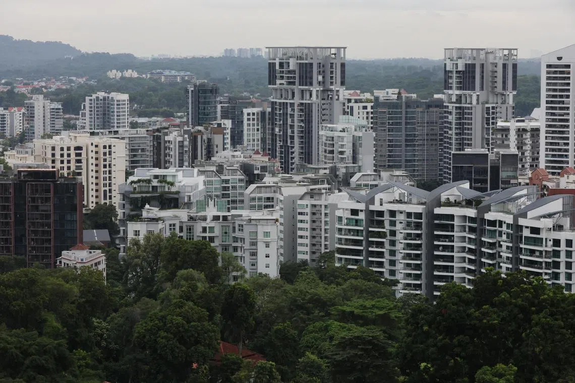 ST20231101_202379734921: Gin Tay/ pixgeneric/
Generic photo of buildings, condominium in Orchard and Newton area as seen from Environment Building on Oct 28, 2023.
Can use for stories on properties, levy, inflation, standard of living, economy, infrastructure, urban planning, population, density, buildings, business, residential zone, URA,