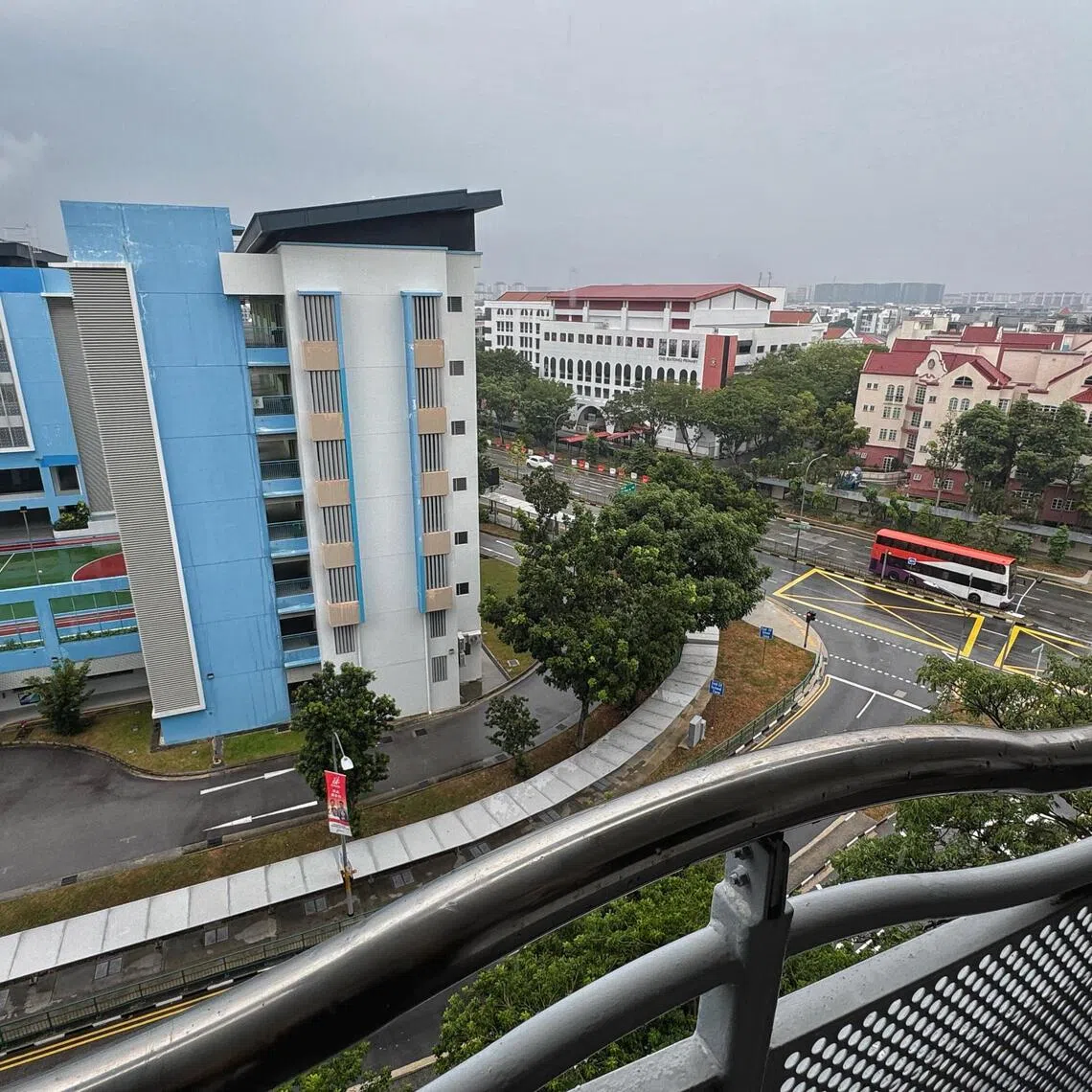CHIJ (Katong) Primary School (centre) and Tao Nan Primary School (left) seen surrounded by private properties on Sept 11.