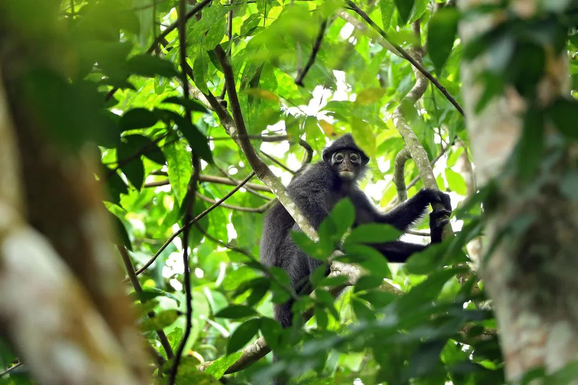 Life on Earth is under threat from human destruction, overexploitation and pollution.