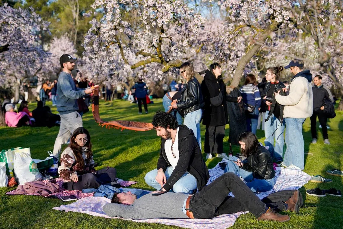 People spending time in the open amongst blooming almond trees at Quinta de los Molinos park in Madrid, Spain on March 1, 2026.
