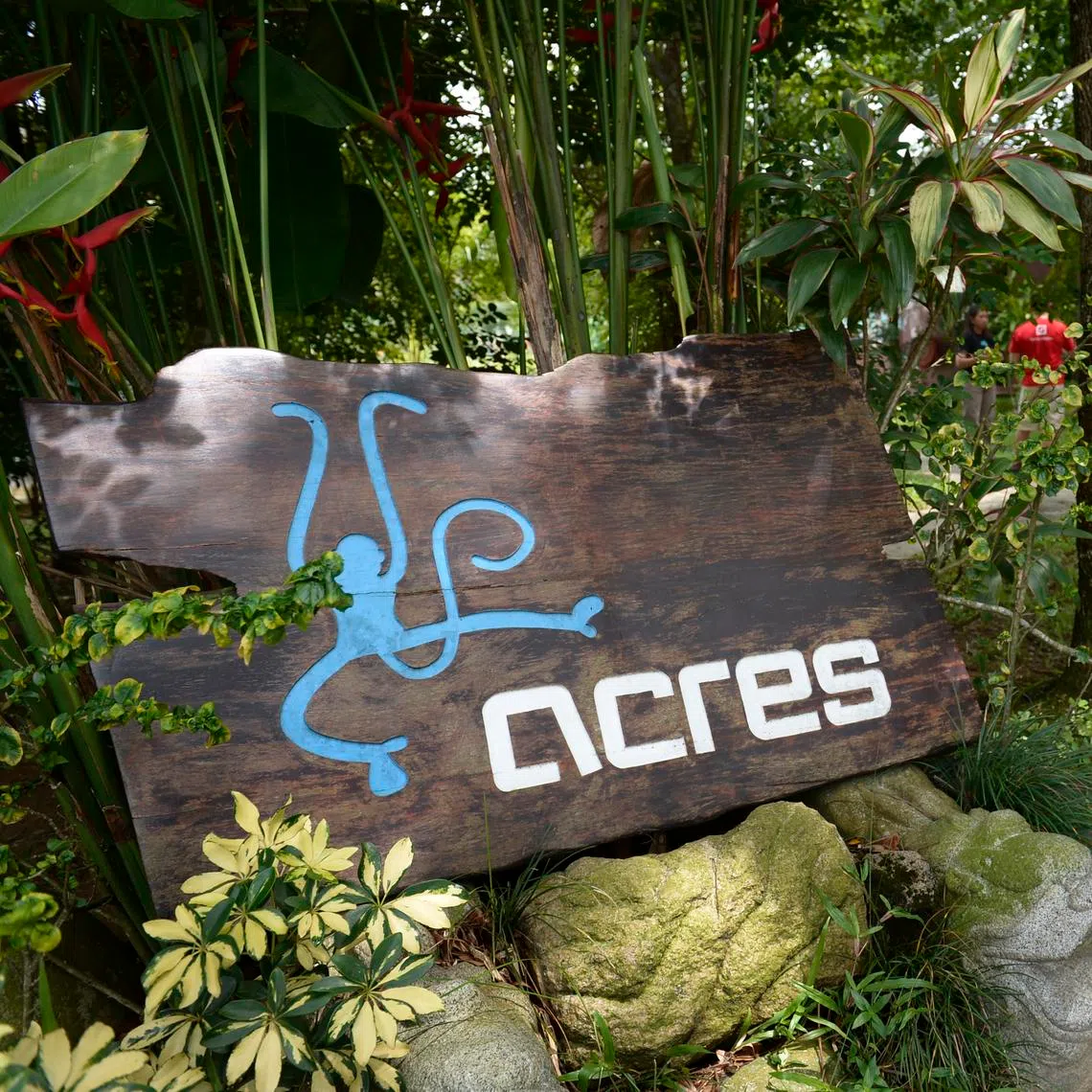 The Animal Concerns Research and Education Society (Acres) turns 25 on May 24, and aims to raise funds to expand its wildlife rescue centre in Sungei Tengah.