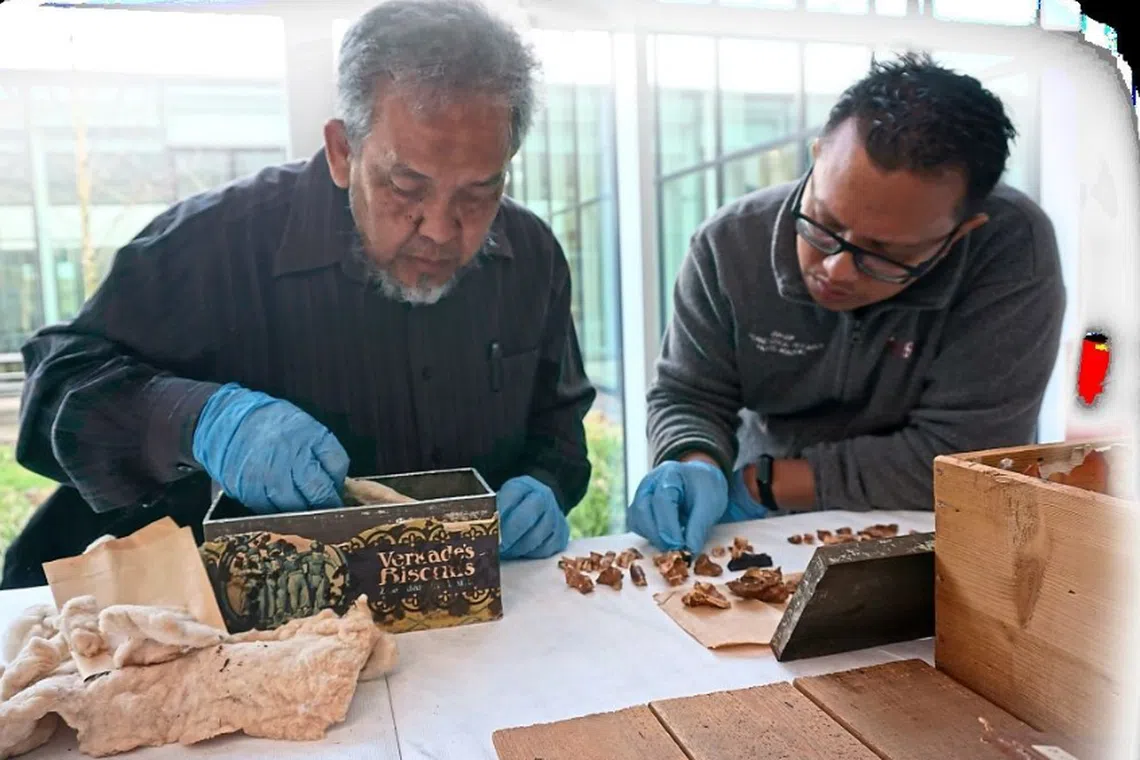Forensic and medical studies of the bones, teeth and any remaining human tissue could yield insights into the development of mankind in Penang’s prehistory.