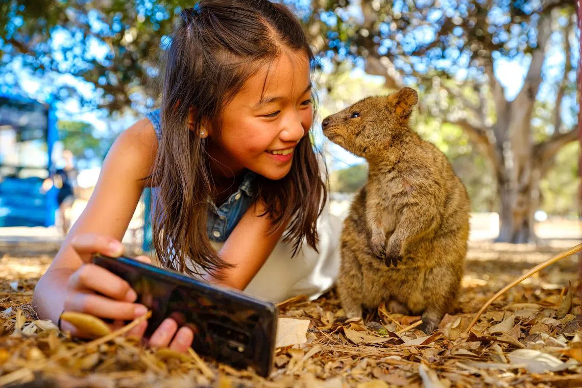 Get a selfie with the smiling quokkas on Rottnest Island in Western Australia. 