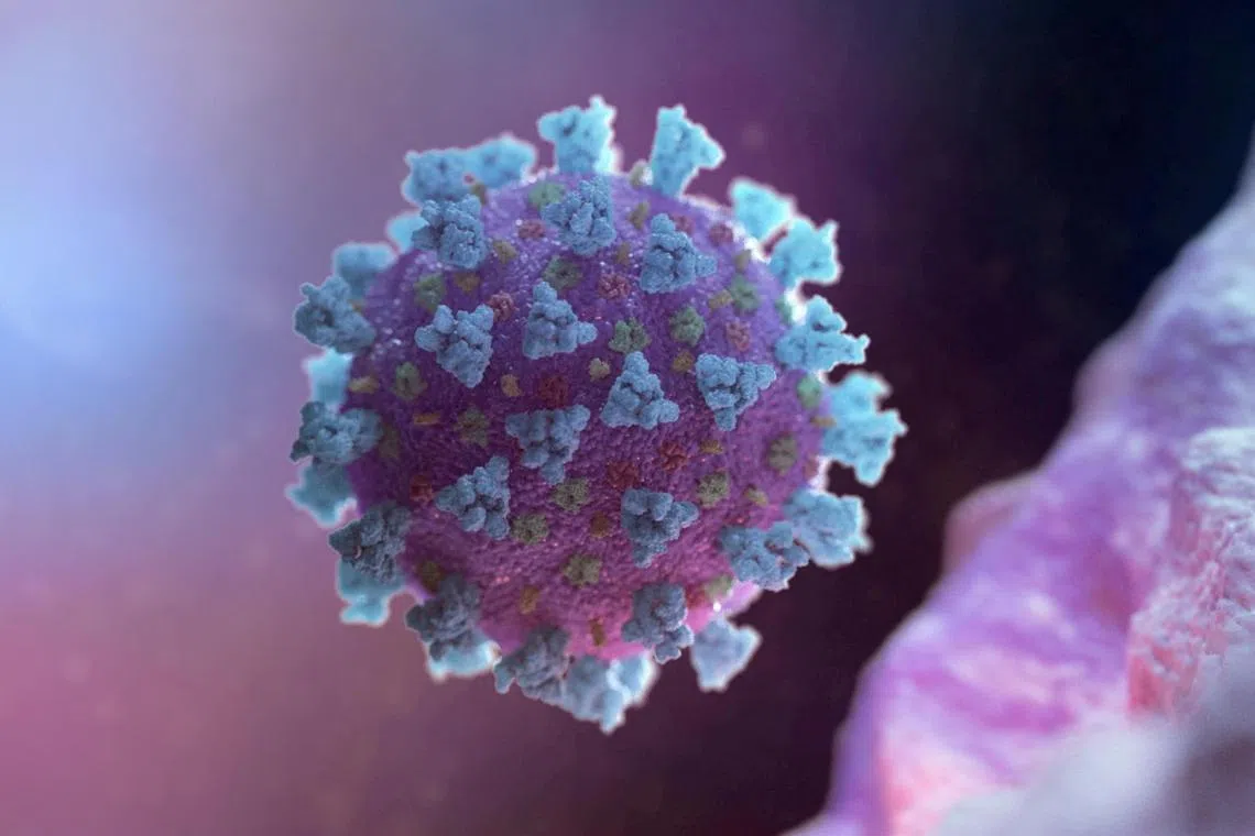 Eris is a descendant of a group of coronavirus strains labeled XBB.