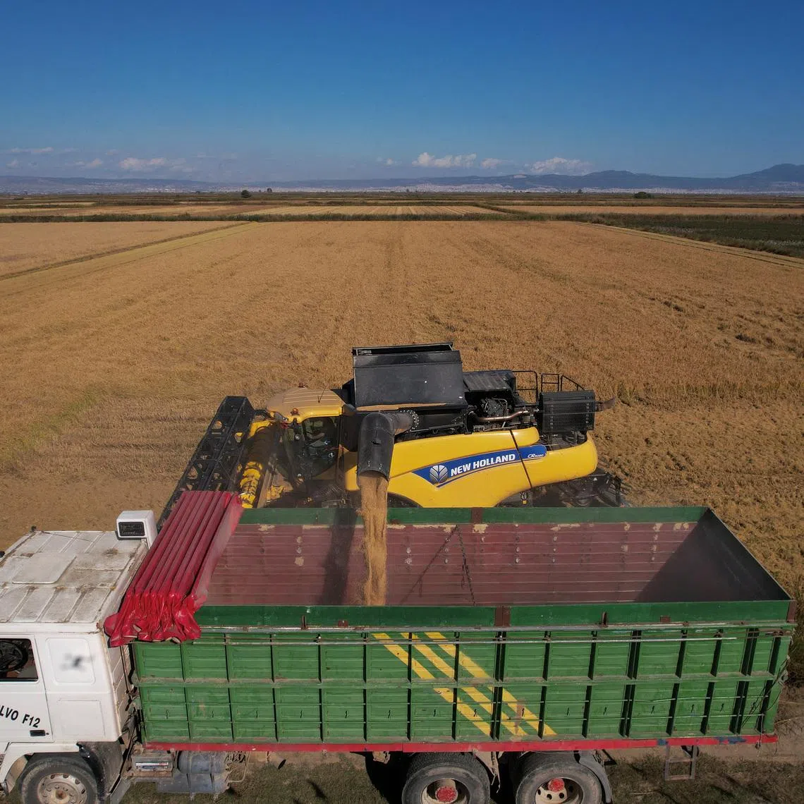 A drone image shows a combine harvester unloading freshly harvested rice into a truck in Chalastra, Greece, October 24, 2025. REUTERS/Alexandros Avramidis