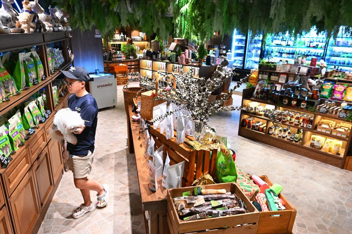 Surrey Hills Grocer at The Woodleigh Mall. Its outlet at One Holland Village will open in the next few months along with its dedicated pet grocer Furry Hills.