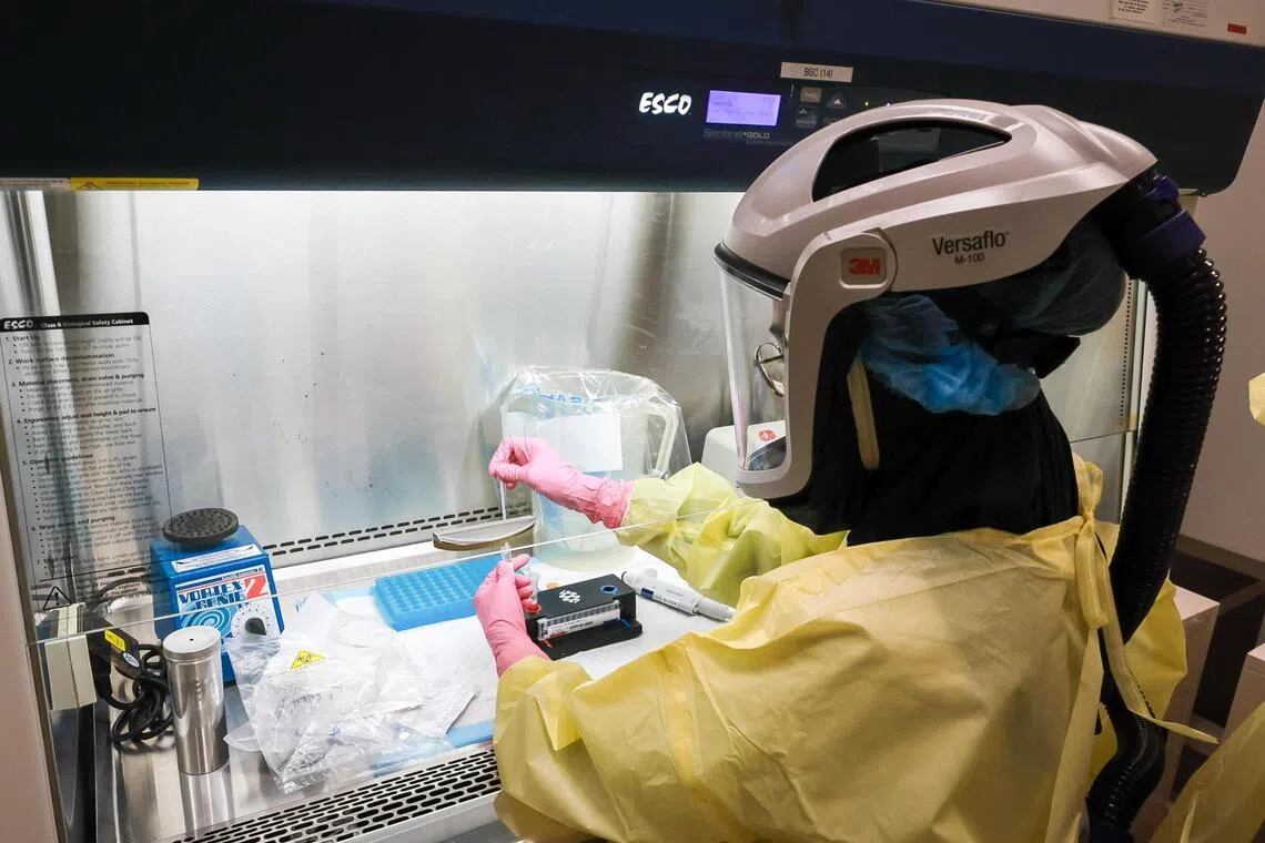 Keeping yellow fever out of S’pore is one top priority for new Communicable Diseases Agency