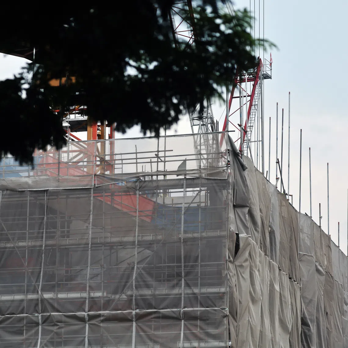 This rule will apply to projects awarded from March 1, 2027, regardless of the material used for the scaffold.