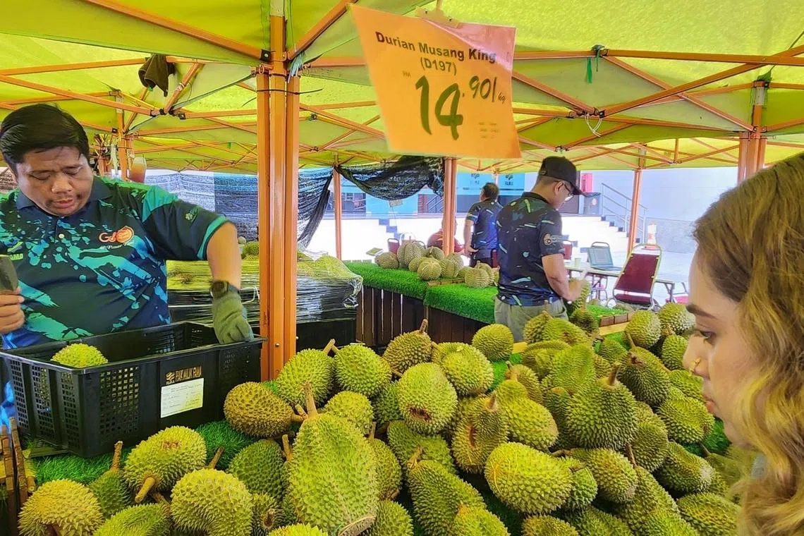 Too many durians, not enough buyers: Malaysia eyes new China land route to clear record supply glut