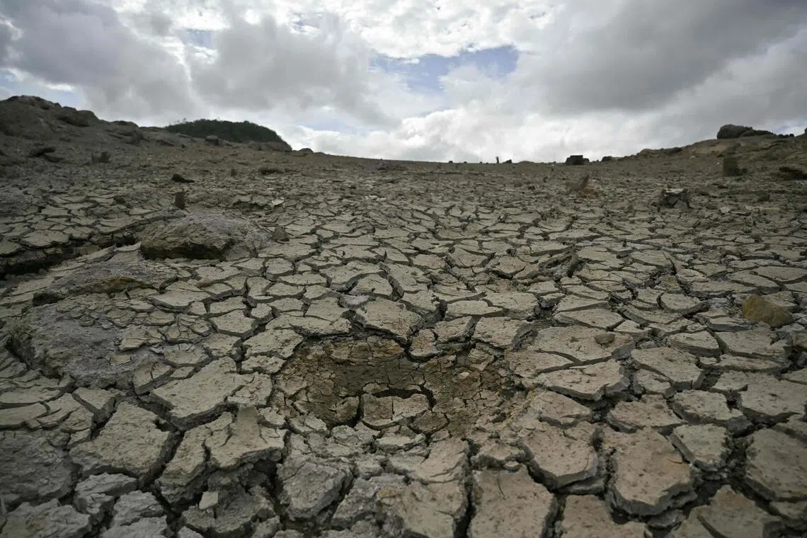 British forecaster predicts biggest, strongest El Nino in living memory