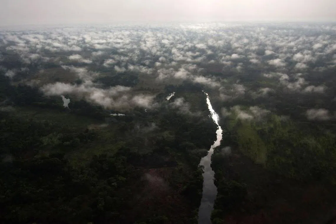 FILE PHOTO: An aerial view of Garamba forest in Haute Uele region of northeastern Congo February 21, 2009. REUTERS/Finbarr O'Reilly//File Photo