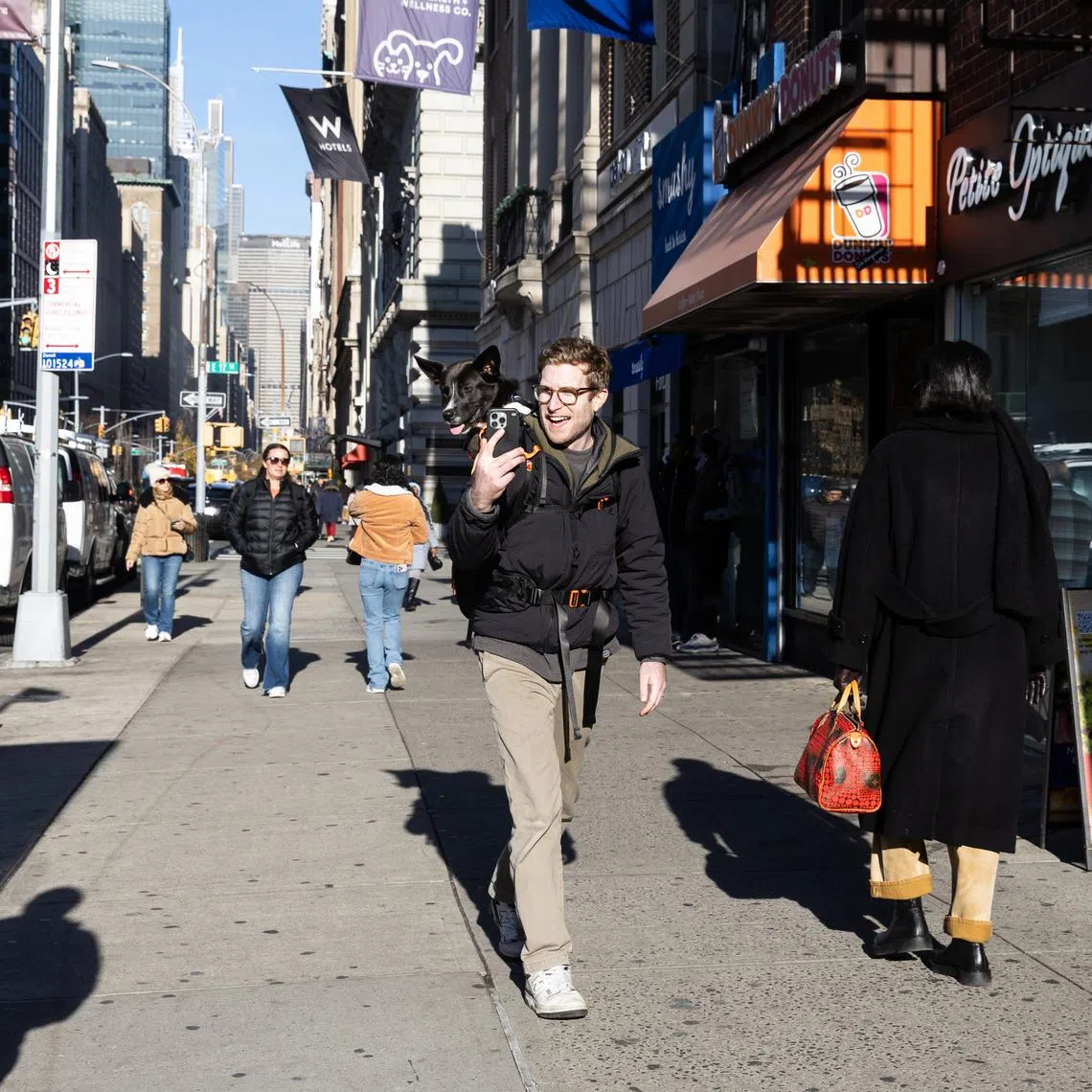 Mr Bryan Reisberg backpacks Brave, a shelter dog, around Manhattan while capturing a video for a social media post.