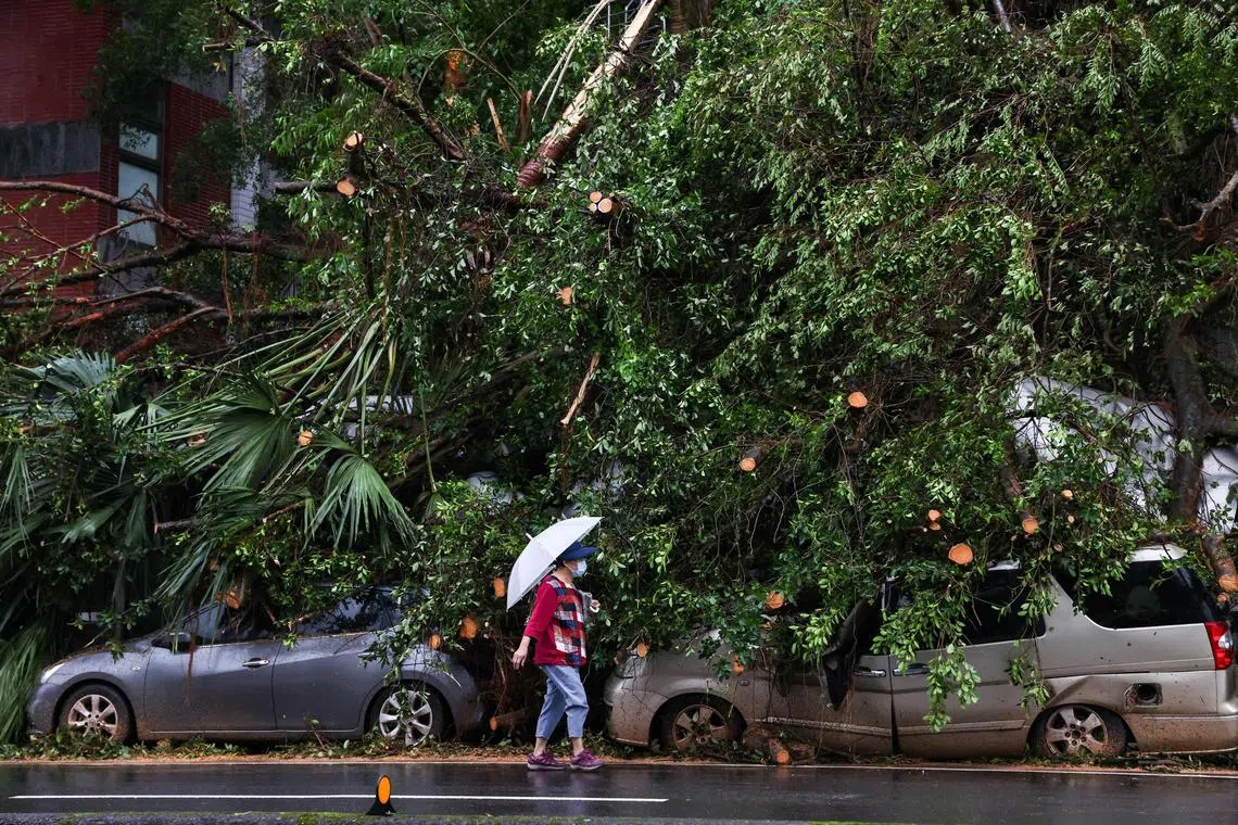 TOPSHOT - Damaged cars are seen underneath fallen trees in Keelung after Typhoon Kong-rey made landfall in eastern Taiwan.