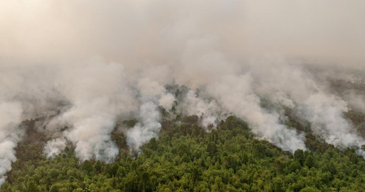 Smoke, swamps and snakes hamper Indonesia’s battle against forest fires, officials say