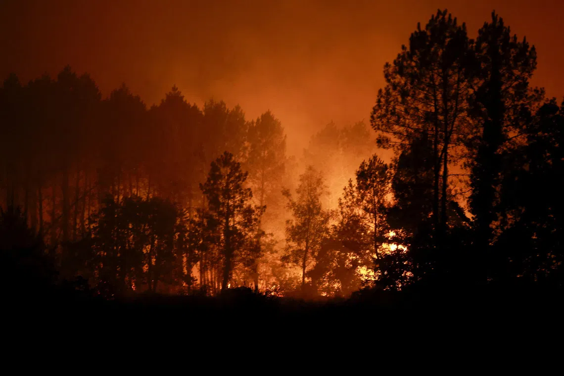 Flames engulf trees as a wildfire burns in Luglon, France, on Aug 14.