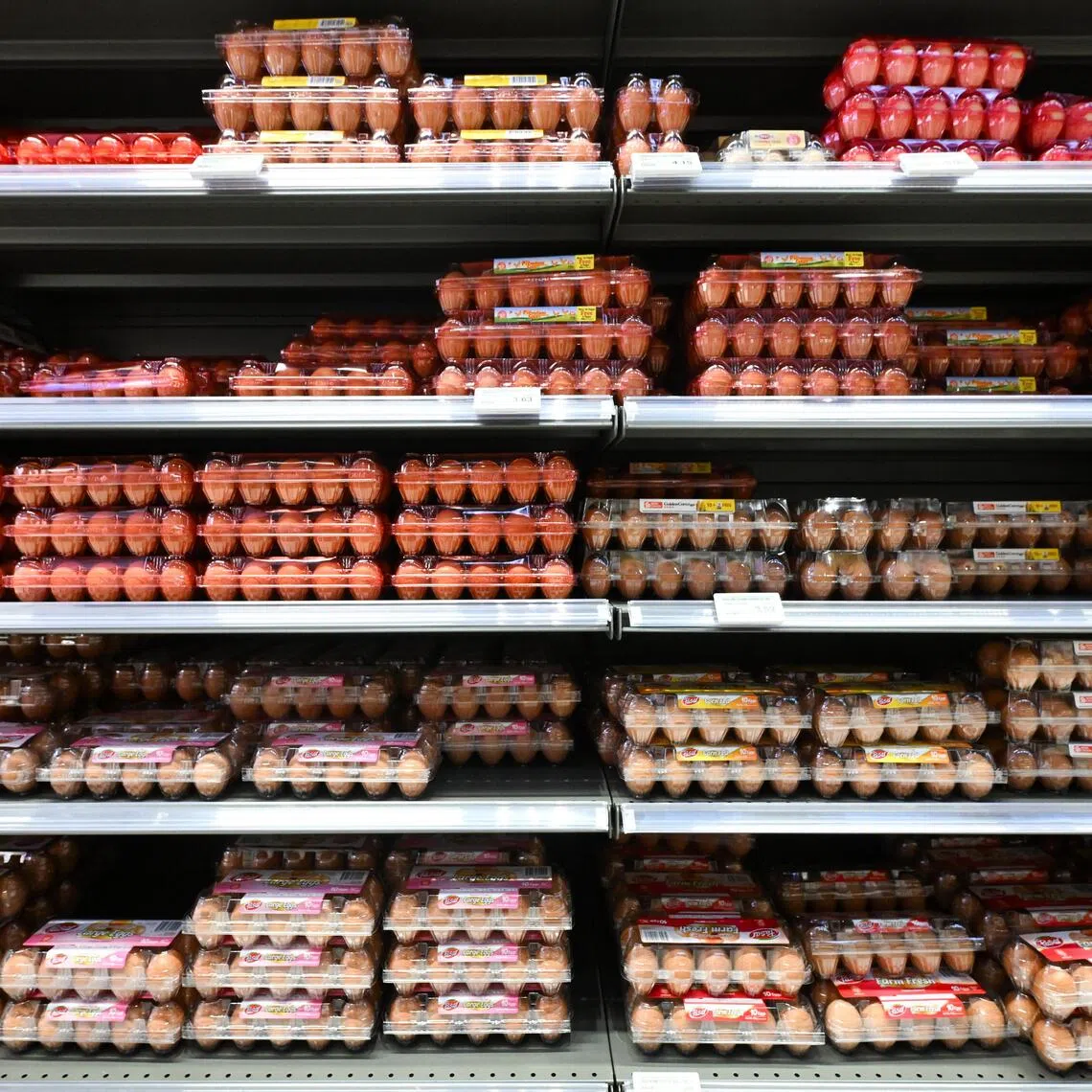 Singapore’s supply of eggs is well-diversified, with less than 15% of eggs coming from Thailand, said SFA.